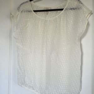 LOFT Sheer Short-Sleeve Top, Ivory, Medium